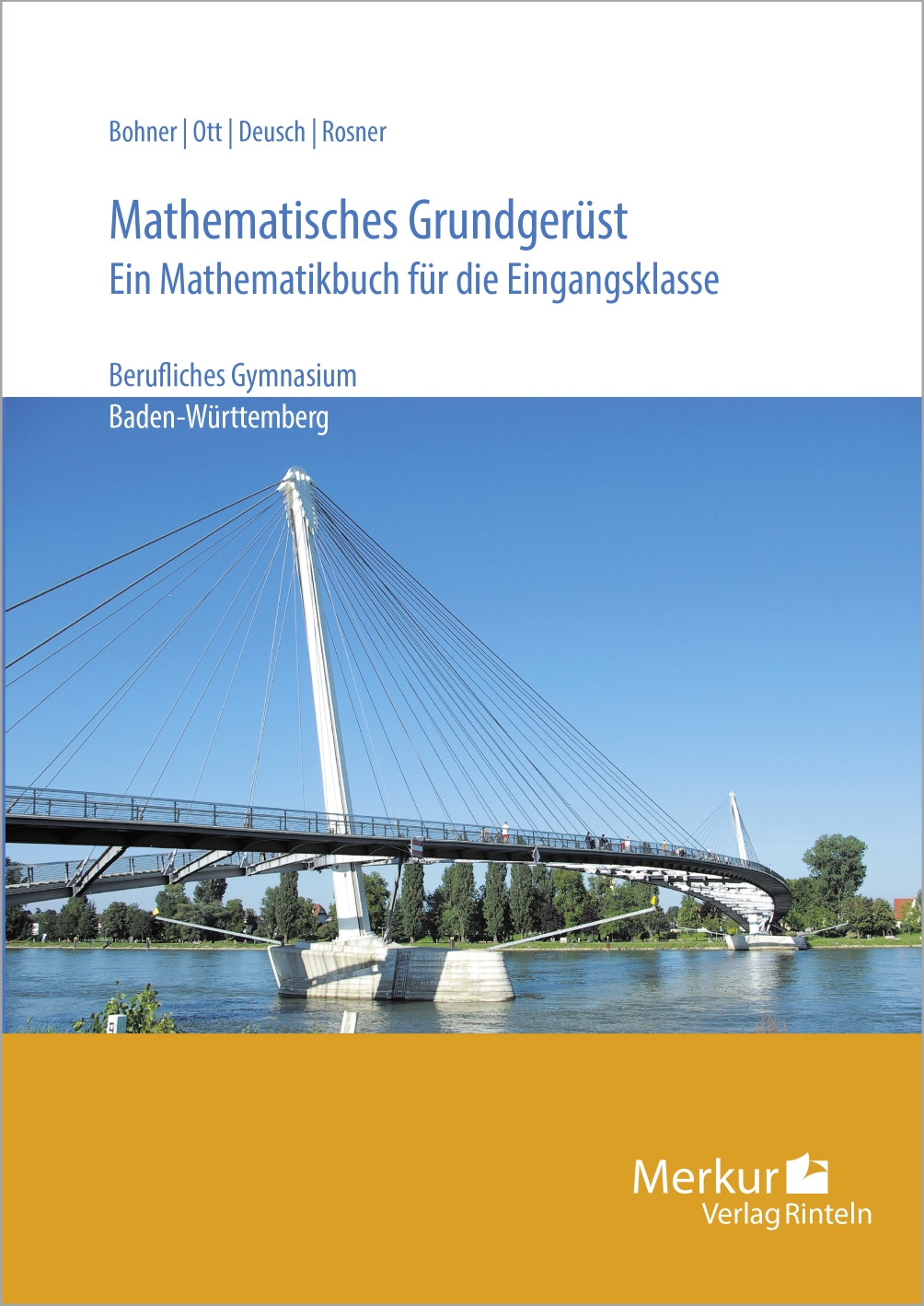 Mathematisches Grundgerüst - Ein Mathematikbuch für die Eingangsklasse