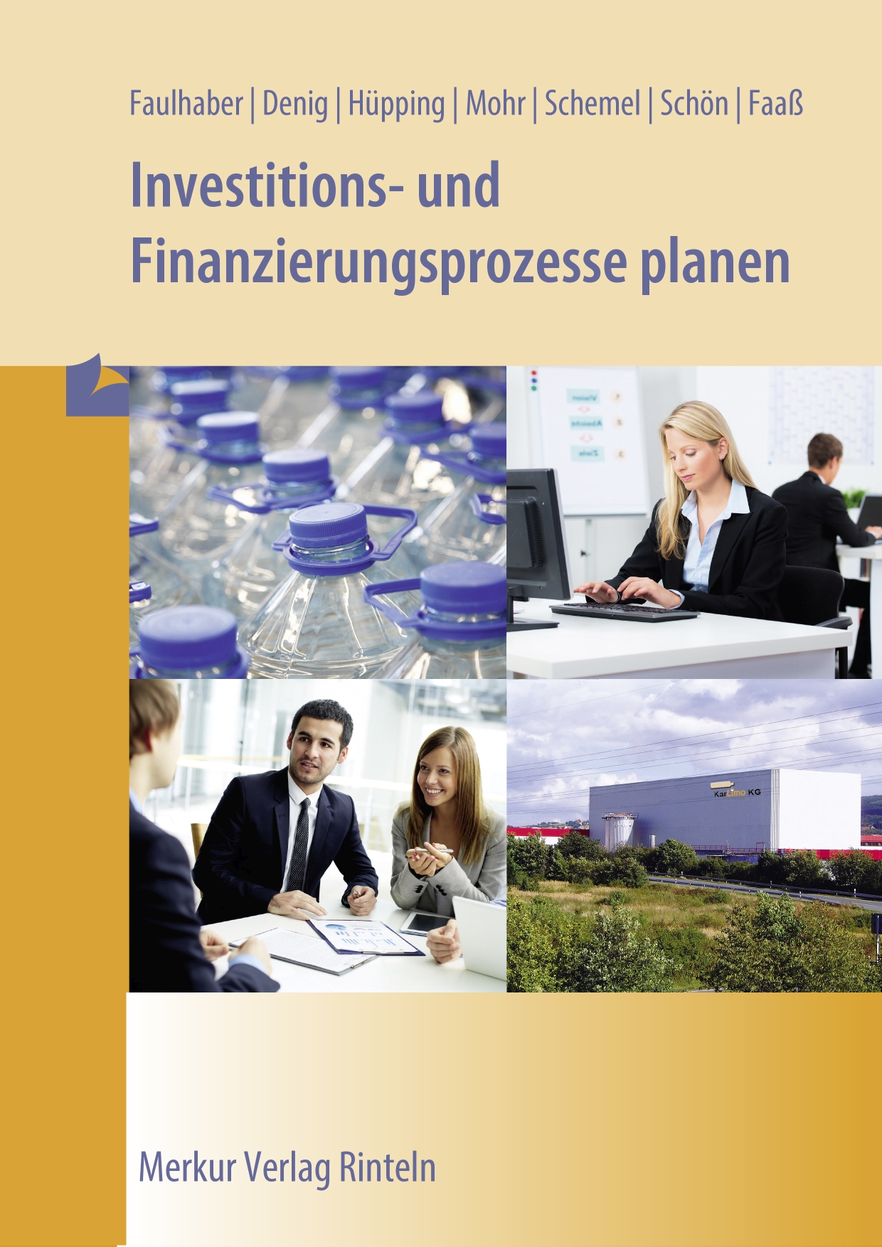 Investitions- und Finanzierungsprozesse planen (E-Book)