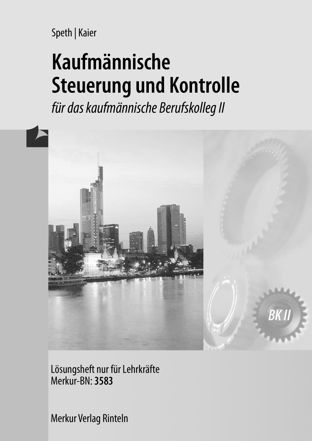 Kaufmännische Steuerung und Kontrolle für das kaufmännische Berufskolleg II - Lösungen