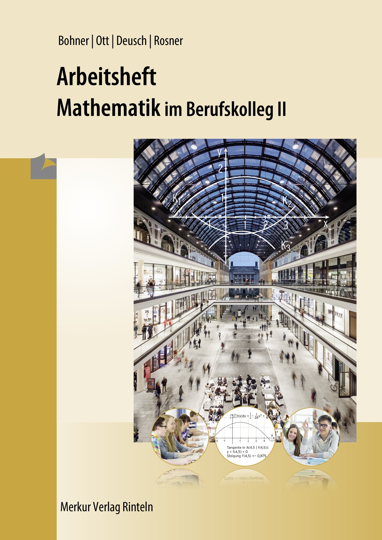 Mathematik im BK II - Arbeitsheft inkl. Lösungen (Baden-Württemberg)