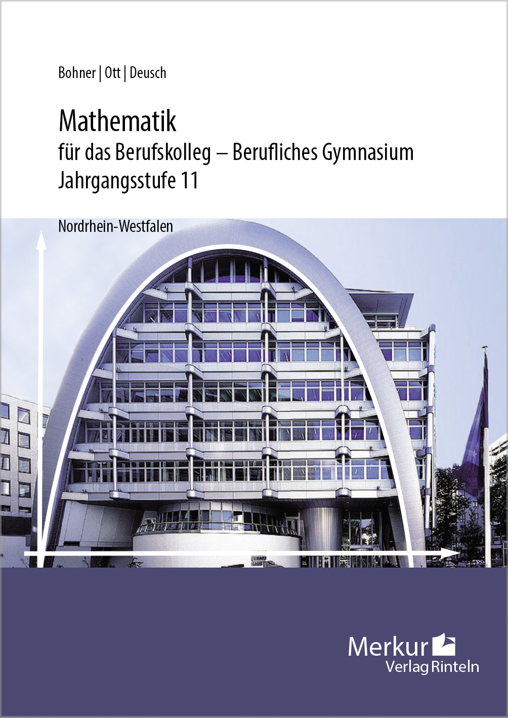 Mathematik für das Berufskolleg - Berufliches Gymnasium Jahrgangsstufe 11 (NRW)