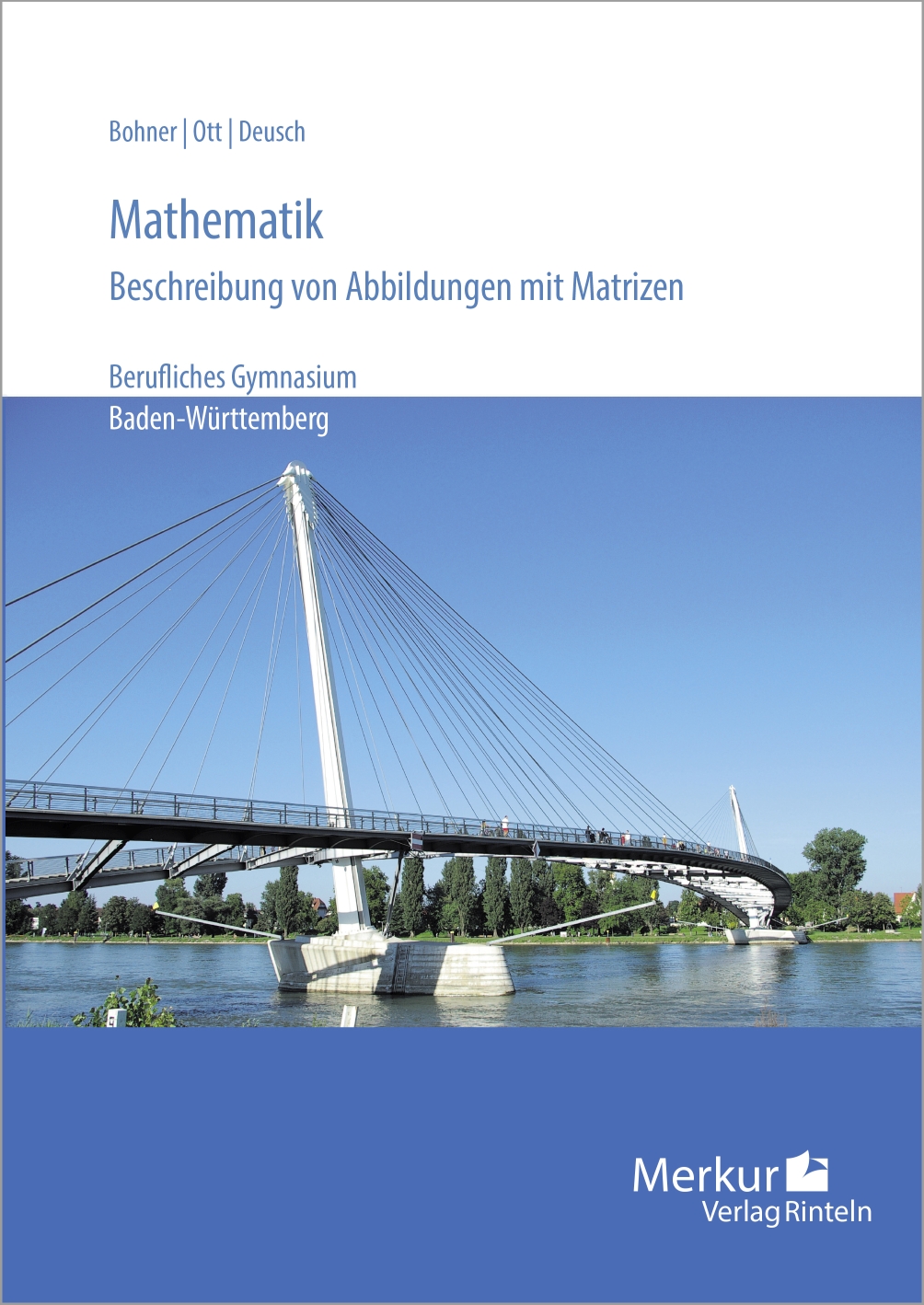 Mathematik - Beschreibung von Abbildungen mit Matrizen - Berufliches Gymnasium