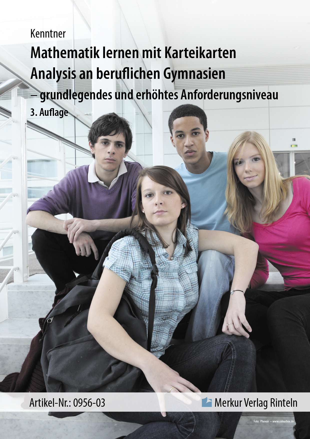 Mathematik lernen mit Karteikarten Analysis an beruflichen Gymnasien - grundlegendes und erhöhtes Anforderungsniveau