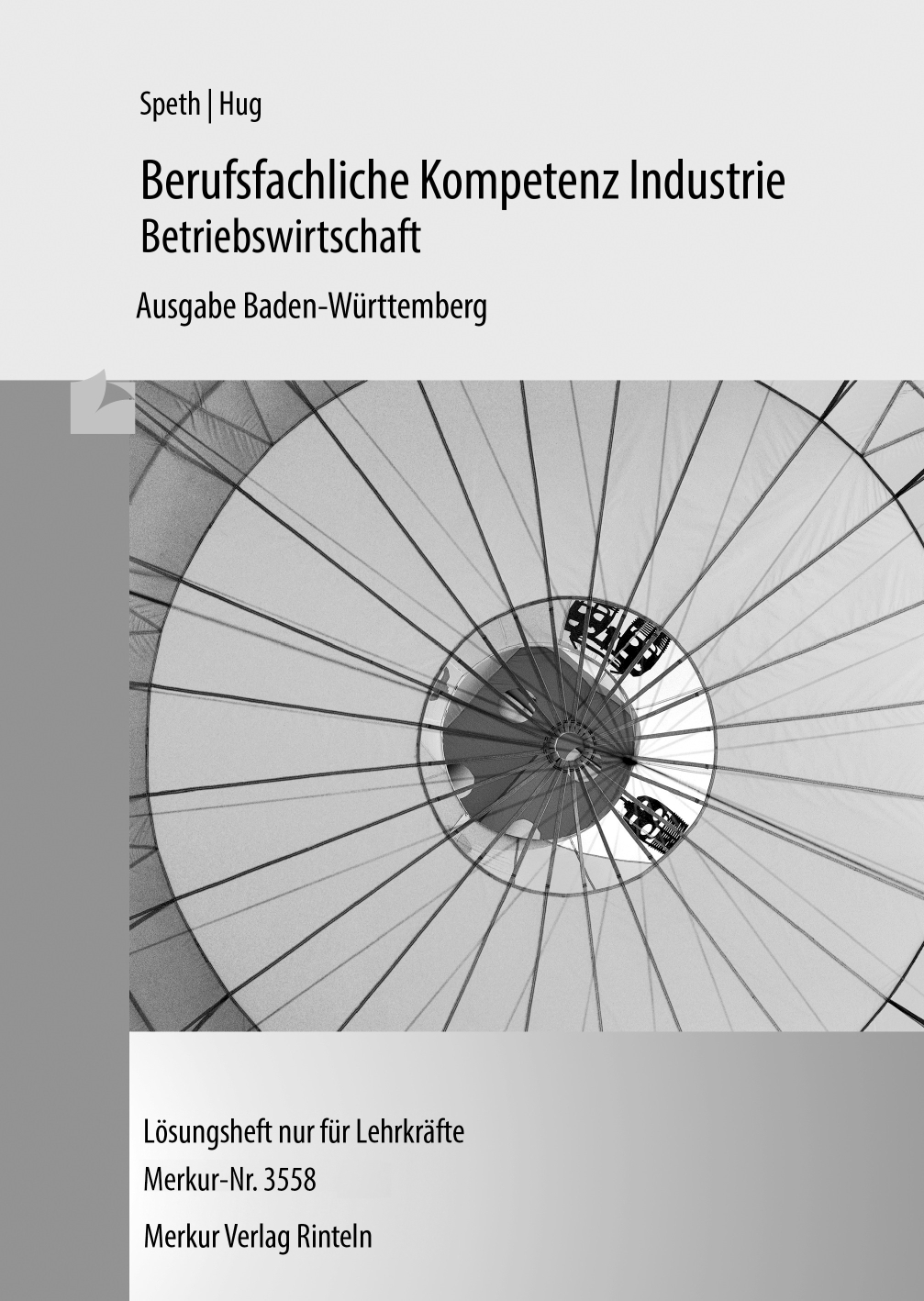 Berufsfachliche Kompetenz Industrie Betriebswirtschaft Lösungen