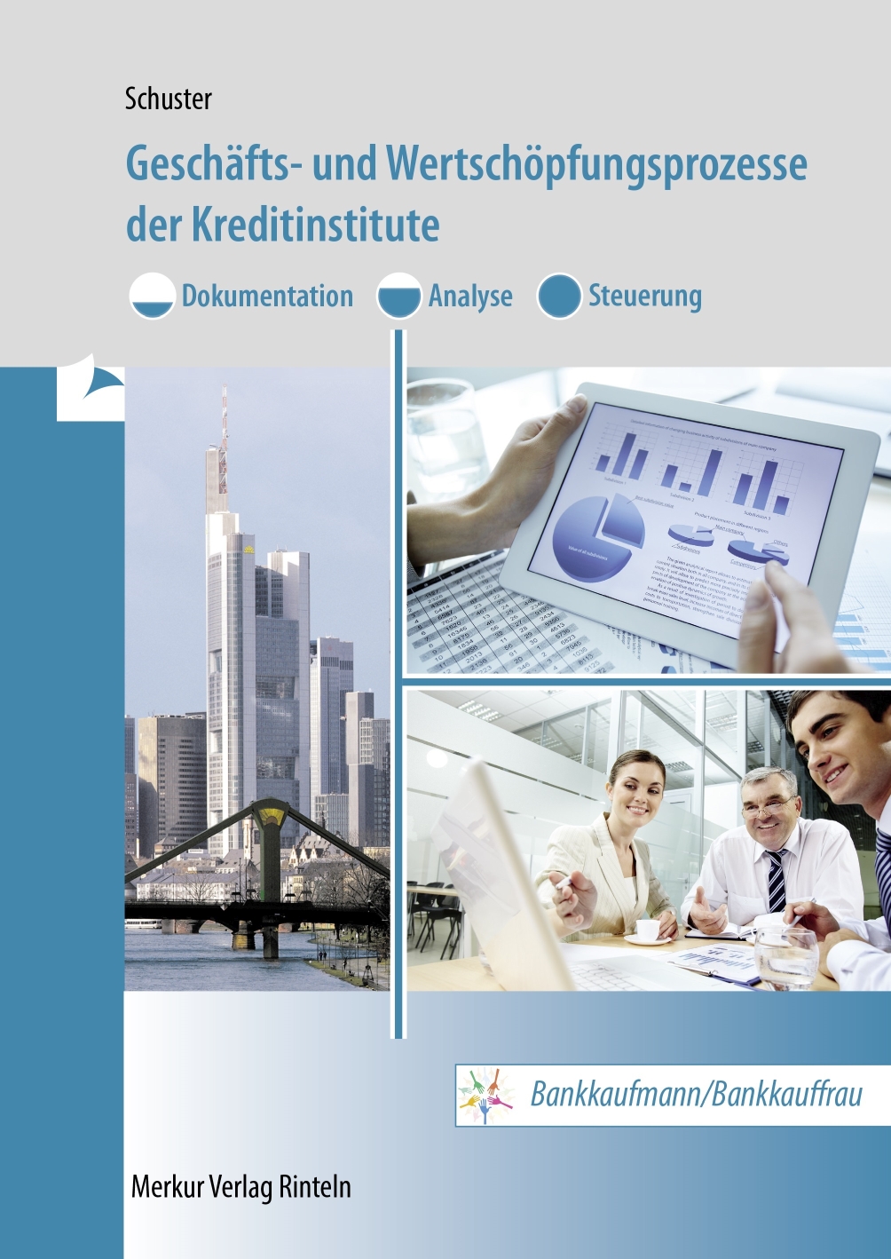 Geschäfts- und Wertschöpfungsprozesse der Kreditinstitute - Dokumentation, Analyse, Steuerung
