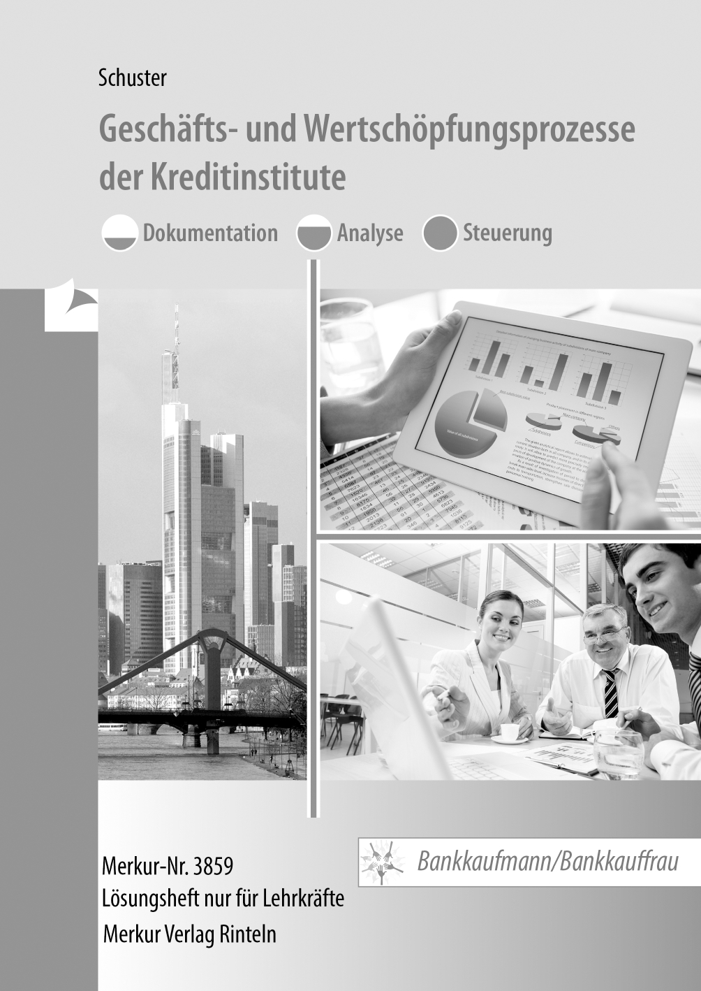 Geschäfts- und Wertschöpfungsprozesse der Kreditinstitute Dokumentation - Analyse - Steuerung Bankkaufmann/Bankkauffrau - Lösungen mit digitalem Zusatzmaterial auf CD