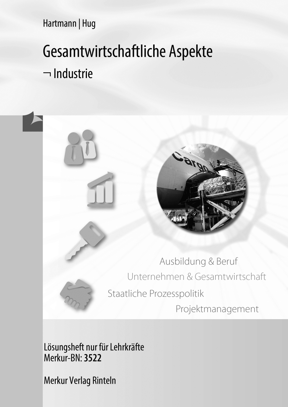 Gesamtwirtschaftliche Aspekte - Industrie - Lösungen