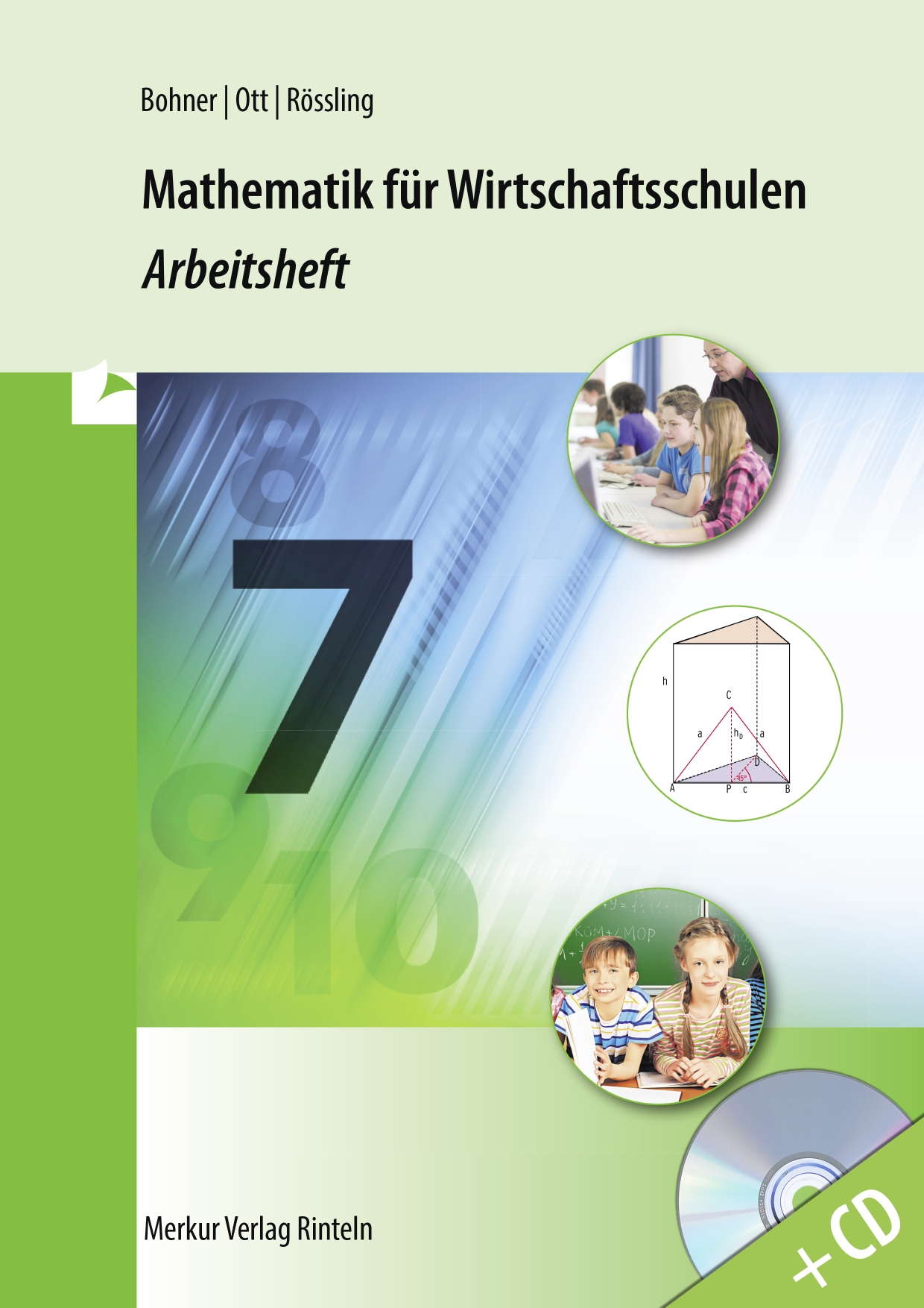 Mathematik für Wirtschaftsschulen Arbeitsheft 7