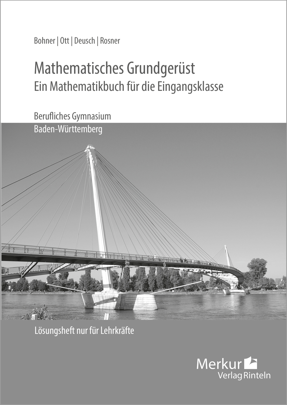 Mathematisches Grundgerüst Ein Mathematikbuch für die Eingangsklasse Lösungen