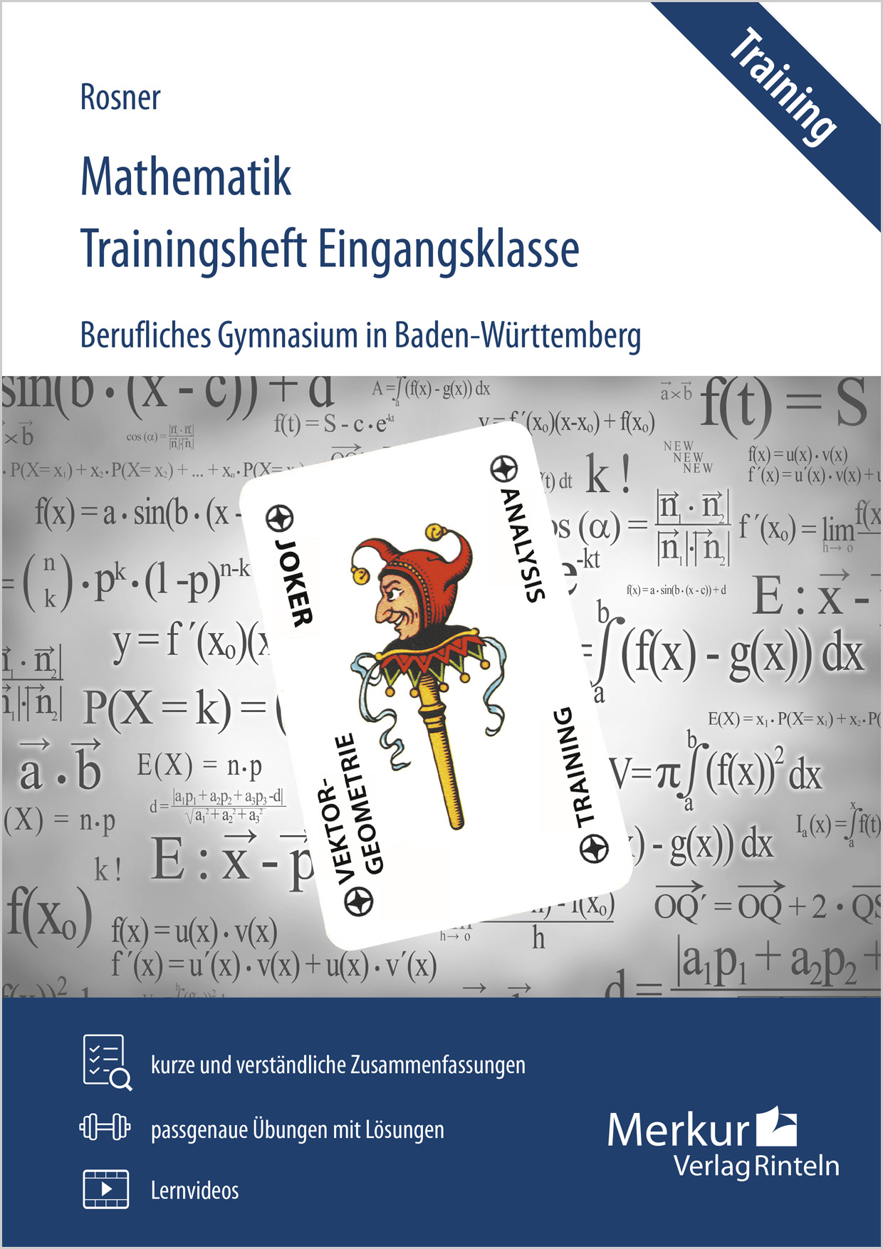 Mathematik Trainingsheft Eingangsklasse Berufliches Gymnasium in Baden-Württemberg